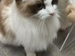 -零纪元VR体验馆·桌游(黄浦店)