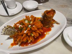 -新梅华餐厅(星悦汇店)