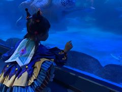 -海合安成都极地海洋公园