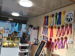 -柴犬高等学院·狗咖·柴犬售卖·宠物训练