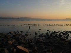 -深圳湾公园(南山区)