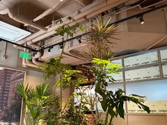 -Wagas沃歌斯(北京君太百货店)
