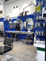 -LiXun Salon