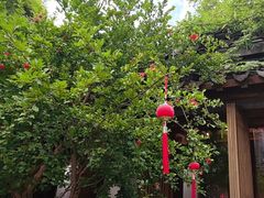 -鲤院·新中式美学·庭院餐厅(夫子庙店)