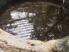 -龙达温泉生态城