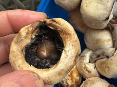 -吉美超市(胜利路店)