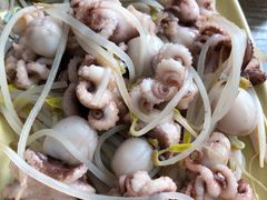 芥末八爪鱼-贞姨美食·老字号海鲜大排档