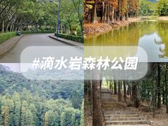 -番禺大夫山森林公园