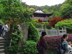 -十八棵（老龙井）御茶园(老龙井店)