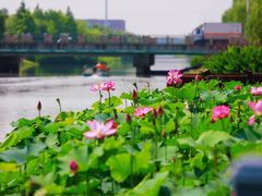 -上海玛雅海滩水公园