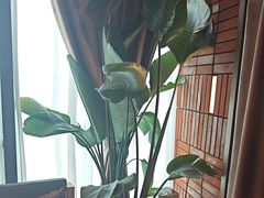 -泰合玺·精油疗愈SPA(狮山天街生活广场店)