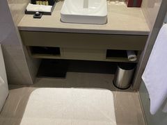 -南京禄口机场雅高铂尔曼大酒店