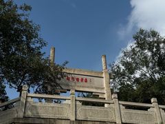 -紫金山山顶公园