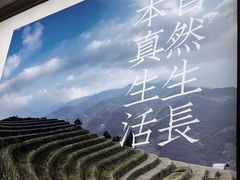 -湘村小灶·地道长沙菜·本地人优选(咸嘉新村店)