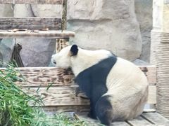 -无锡动物园·太湖欢乐园