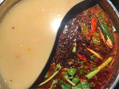 -大红袍火锅料理(尖沙咀店)