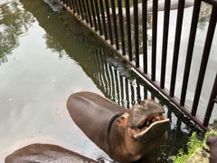 -海南热带野生动植物园