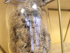 -爱罗Love Rom竹筒茶(牌坊街店)