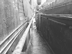 -東茅街茶馆