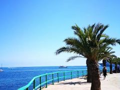 -阿尔卡特拉斯岛