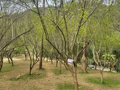 -广州市白云山风景名胜区