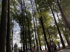 -东湖落雁景区