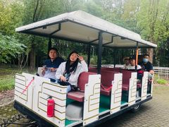 -上海海湾国家森林公园