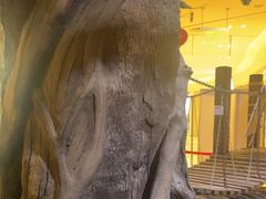 -暴风岛沉浸式体验馆(百联世纪店)