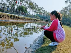 -上海长兴岛郊野公园