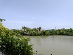 -江心屿景区