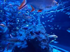 -成都浩海立方海洋公园