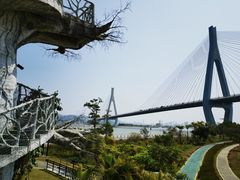 -芒洲湿地公园