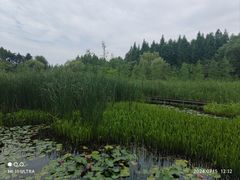 -昆山城市生态森林公园