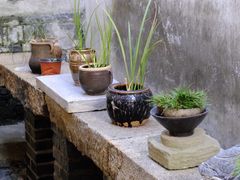 -月栖华明-云间草堂清茶馆(泗泾古镇店)