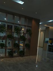 -碧莲盛·不剃发植发
