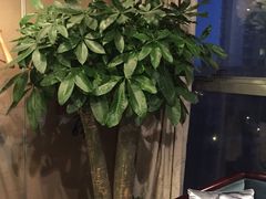 -王家渡火锅店(棕榈泉店)