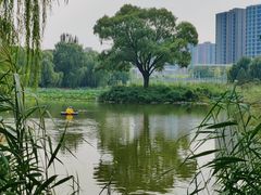 -将府公园