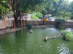 -九龙公园