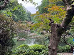 -岳麓山风景名胜区