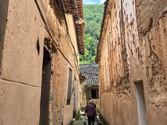 -杨家堂村