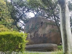 -南山植物园