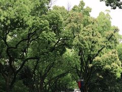 -浙江大学(玉泉校区)