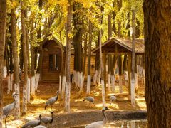 -艾溪湖湿地公园