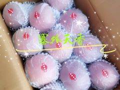 -上海龙吴水胜海发市场