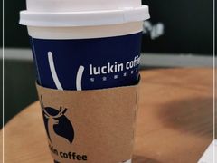 -瑞幸咖啡(凯德龙之梦莘庄店)