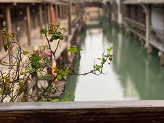 -乌镇枕水度假酒店