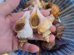 -三个渔夫·蒸汽海鲜(小白楼店)