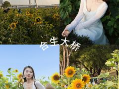 -阿妹小海鲜(下角店)