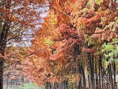 -厦门园林博览苑