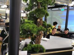 -洪氏嗨捞·猪肚鸡火锅(阳光天地店)